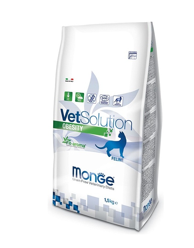 757463453453מונג אוביסיטי לחתולים