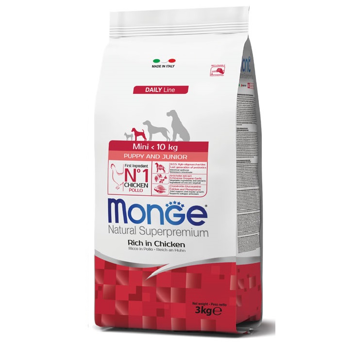 החתול והכלב נגבה