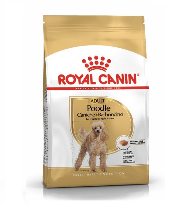 ad-poodle-packshot-bhn18 (1)